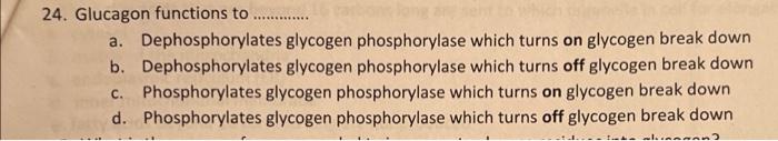 24 Glucagon Functions To A Dephosphorylates Glycogen Phosphorylase Which Turns On Glycogen Break Down B Dephosphory 1