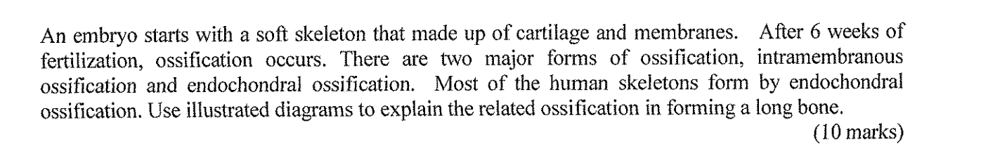 An Embryo Starts With A Soft Skeleton That Made Up Of Cartilage And Membranes After 6 Weeks Of Fertilization Ossificat 1