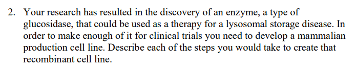 2 Your Research Has Resulted In The Discovery Of An Enzyme A Type Of Glucosidase That Could Be Used As A Therapy For 1