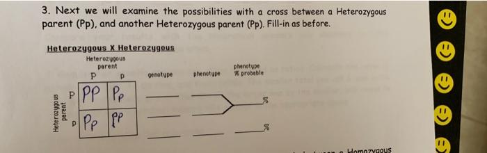 3 Next We Will Examine The Possibilities With A Cross Between A Heterozygous Parent Pp And Another Heterozygous Pare 1