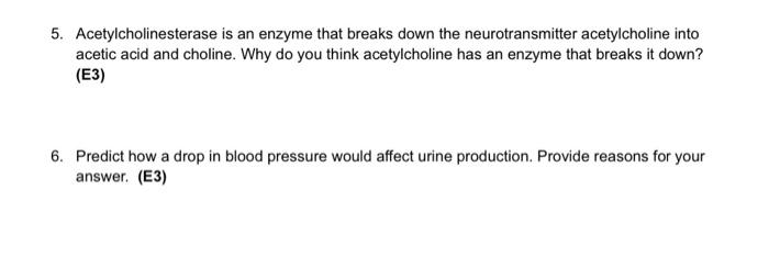 5 Acetylcholinesterase Is An Enzyme That Breaks Down The Neurotransmitter Acetylcholine Into Acetic Acid And Choline W 1