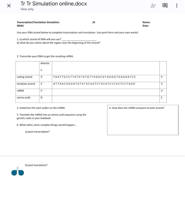 X Tr Tr Simulation Online Docx View Only Transcription Translation Simulation 58140 Name Date Use Your Dna Strand Belo 1