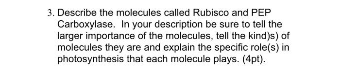 3 Describe The Molecules Called Rubisco And Pep Carboxylase In Your Description Be Sure To Tell The Larger Importance 1