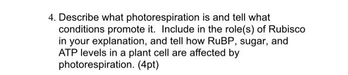 4 Describe What Photorespiration Is And Tell What Conditions Promote It Include In The Role S Of Rubisco In Your Expl 1