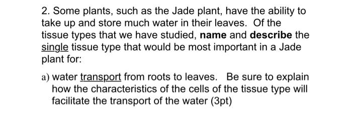 2 Some Plants Such As The Jade Plant Have The Ability To Take Up And Store Much Water In Their Leaves Of The Tissue 1