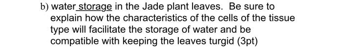 B Water Storage In The Jade Plant Leaves Be Sure To Explain How The Characteristics Of The Cells Of The Tissue Type Wi 1