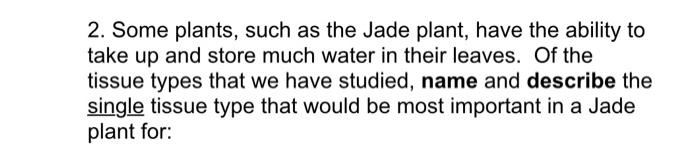 B Water Storage In The Jade Plant Leaves Be Sure To Explain How The Characteristics Of The Cells Of The Tissue Type Wi 2
