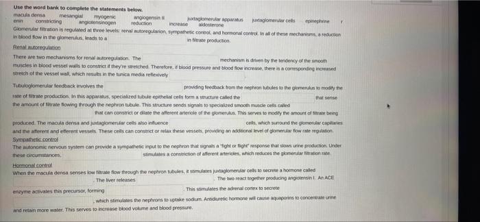 Use The Word Bank To Complete The Statements Below Maddensa Mesangial Myogenic Constricting Ingiogensin Erin Postaglome 1