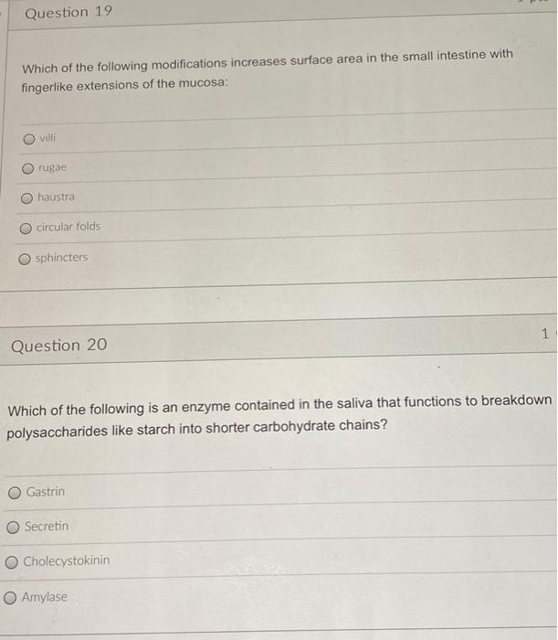Question 19 Which Of The Following Modifications Increases Surface Area In The Small Intestine With Fingerlike Extension 1