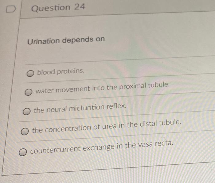 1 Pts Question 22 The Primary Sources Of The Nitrogenous Wastes That Are Eliminated By The Kidneys Are O Proteins Carboh 2