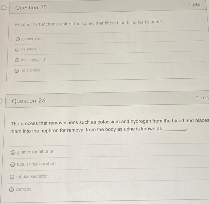 1 Pts D Question 25 What Is The Functional Unit Of The Kidney That Filters Blood And Forms Urine Glomerulus Nephron Ren 1