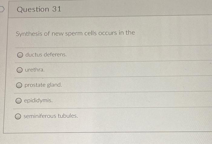 Question 29 Which Of The Following Is A Network Of Capillaries Enclosed By Bowman S Capsule O Efferent Arteriole Glomer 2