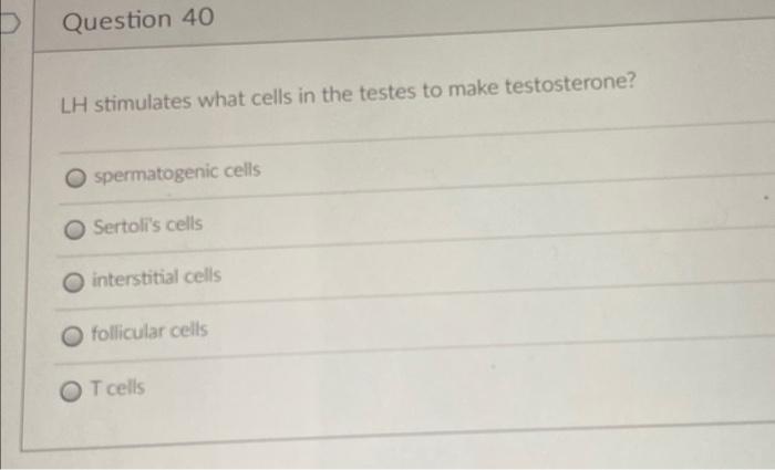 1 Pts Question 38 Trace The Pathway Of Sperm Through The Duct System During Ejaculation Epididymis Ductus Deferens Se 2