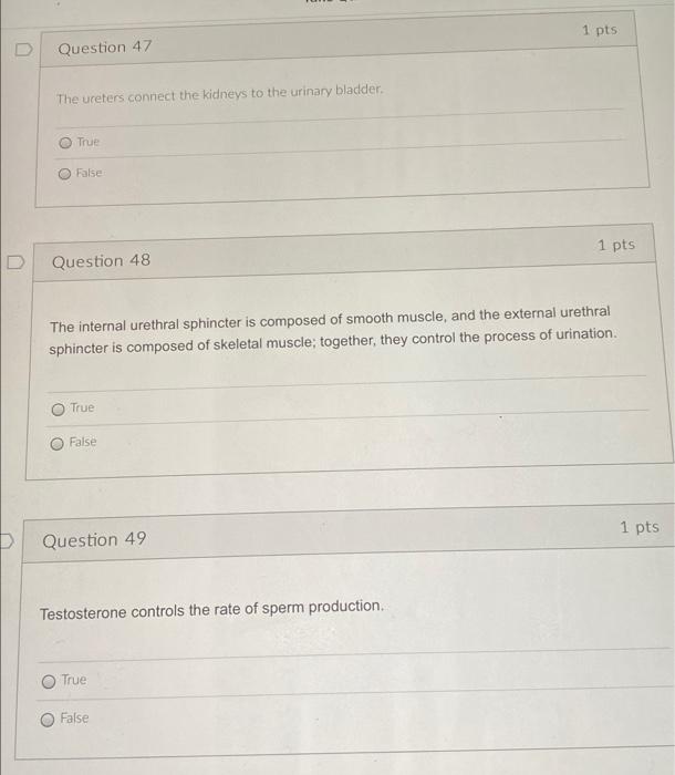 1 Pts Question 47 The Ureters Connect The Kidneys To The Urinary Bladder True False 1 Pts D Question 48 The Internal Ur 1