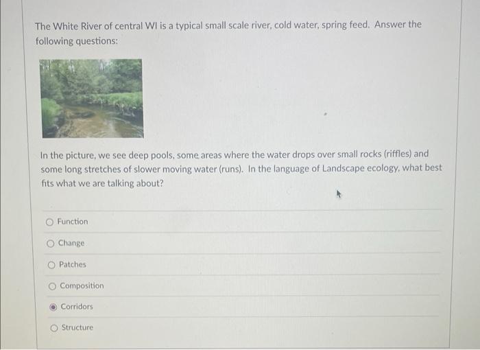 The White River Of Central Wi Is A Typical Small Scale River Cold Water Spring Feed Answer The Following Questions I 1
