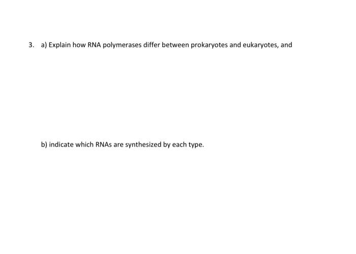 3 A Explain How Rna Polymerases Differ Between Prokaryotes And Eukaryotes And B Indicate Which Rnas Are Synthesized 1