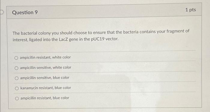 1 Pts Question 9 The Bacterial Colony You Should Choose To Ensure That The Bacteria Contains Your Fragment Of Interest 1