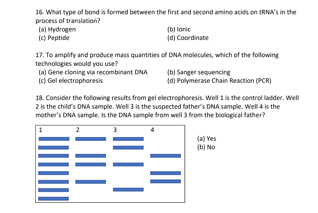 16 What Type Of Bond Is Formed Between The First And Second Amino Acids On Trna S In The Process Of Translation A Hy 1