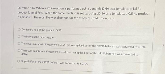 Question 11a When A Pcr Reaction Is Performed Using Genomic Dna As A Template A 1 5 Kb Product Is Amplified When The 1