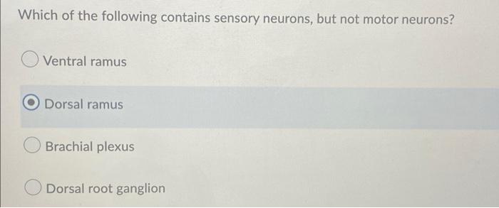 Which Of The Following Contains Sensory Neurons But Not Motor Neurons Ventral Ramus Dorsal Ramus Brachial Plexus Dorsa 1