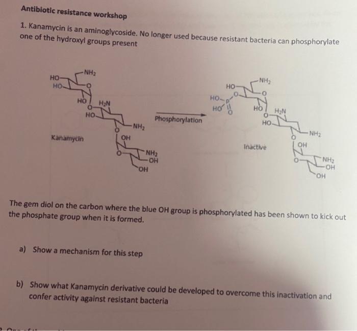 Antibiotic Resistance Workshop 1 Kanamycin Is An Aminoglycoside No Longer Used Because Resistant Bacteria Can Phosphor 1