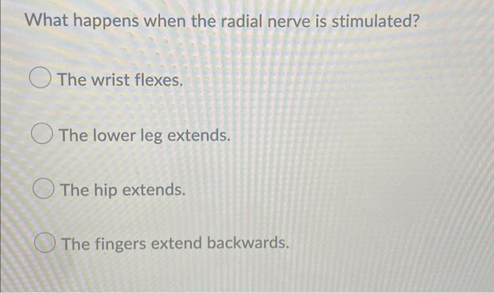 What Happens When The Radial Nerve Is Stimulated The Wrist Flexes The Lower Leg Extends The Hip Extends The Fingers 1