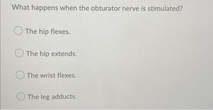 What Happens When The Obturator Nerve Is Stimulated The Hip Flexes The Hip Extends The Wrist Flexes The Leg Adducts 1