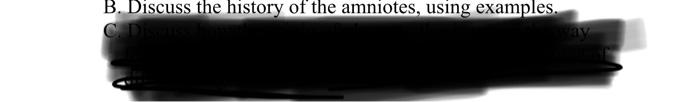 B Discuss The History Of The Amniotes Using Examples 1