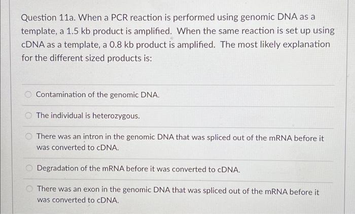 Question 11a When A Pcr Reaction Is Performed Using Genomic Dna As A Template A 1 5 Kb Product Is Amplified When The 1