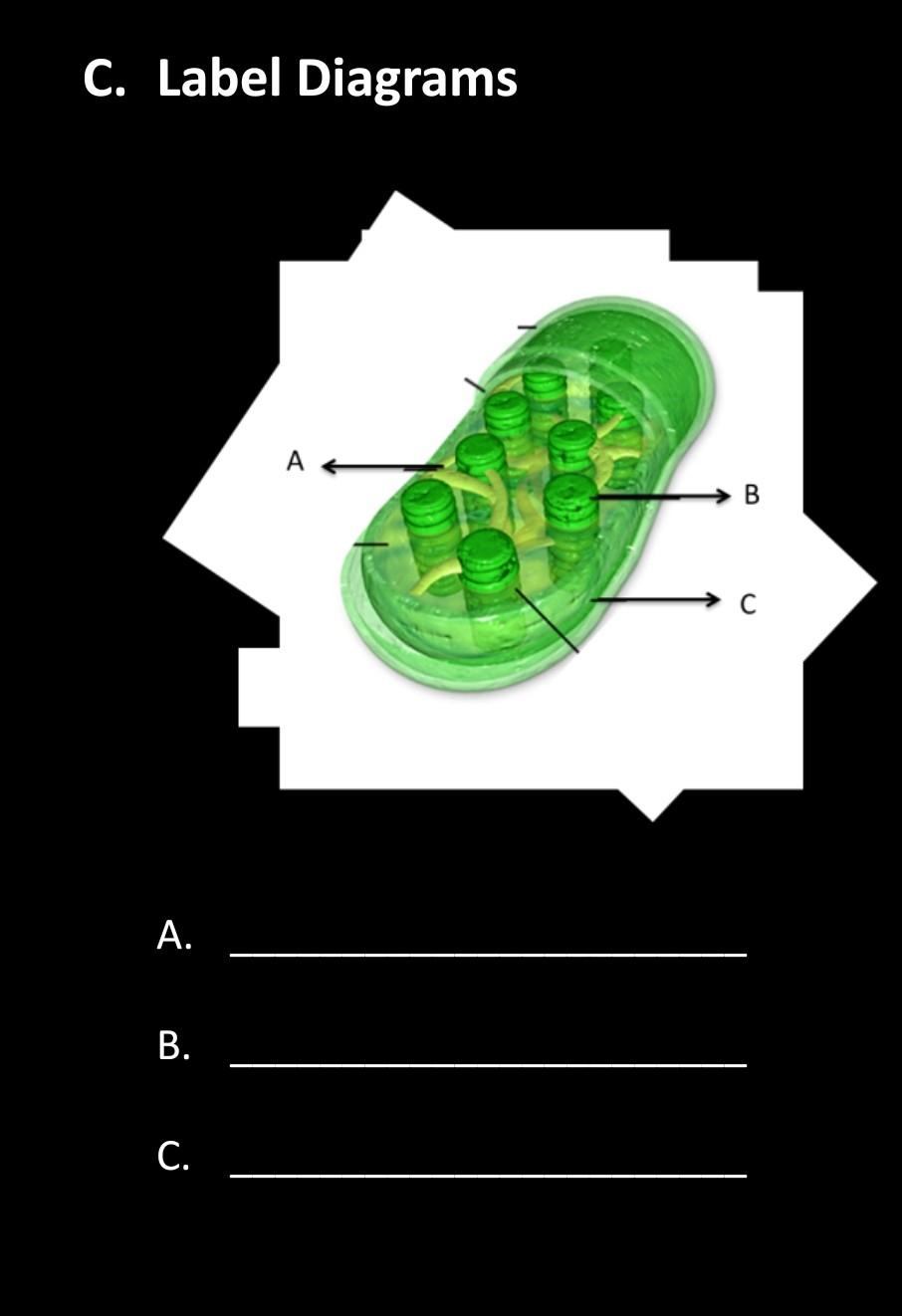 C Label Diagrams A B A B C 1