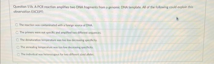 Question 116 A Pcr Reaction Amplifies Two Dna Fragments From A Genomic Dna Template All Of The Following Could Explain 1