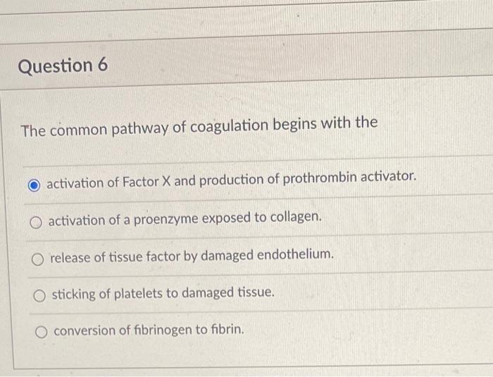 Question 1 Glucagon O Triggers The Conversion Of Glucose Into Glycogen O Triggers Gluconeogenesis O Is Considered A Hypo 3