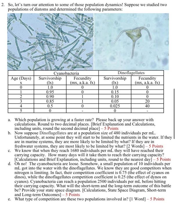 2 So Let S Turn Our Attention To Some Of Those Population Dynamics Suppose We Studied Two Populations Of Diatoms And 1