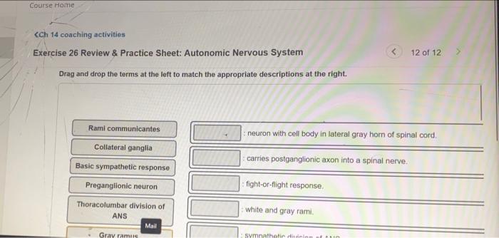 Drag And Drop The Terms At The Left To Match The Appropriate Descriptions At The Right Ganglia Located In The Wall Of T 2