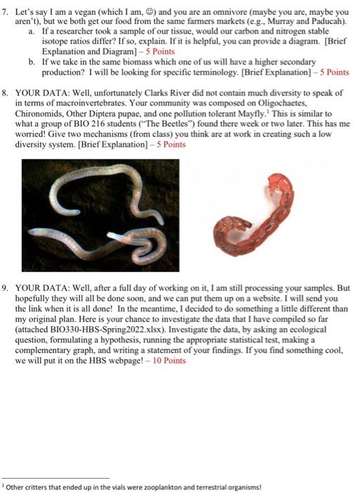 7 Let S Say I Am A Vegan Which I Am And You Are An Omnivore Maybe You Are Maybe You Aren T But We Both Get Our F 1