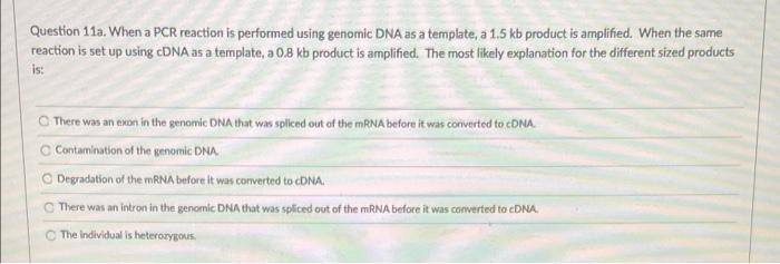 Question 11a When A Pcr Reaction Is Performed Using Genomic Dna As A Template A 1 5 Kb Product Is Amplified When The 1