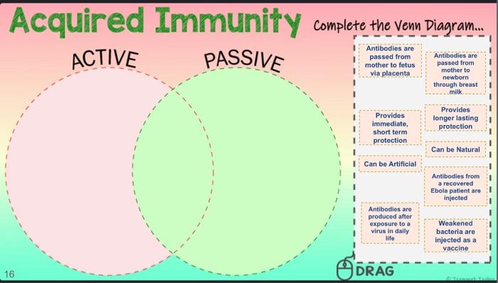 Defense Systems Innate Adaptive Complete The Venn Diagram Specific Immunity Recognizes And Fights Particular Pathogen 2