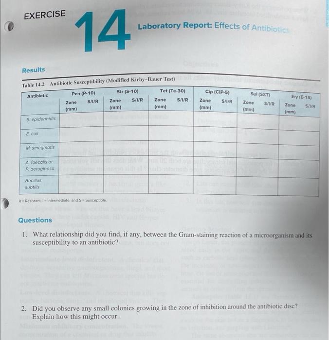 Exercise 14 Laboratory Report Effects Of Antibiotics Results Table 14 2 Antibiotic Susceptibility Modified Kirby Bauer 1