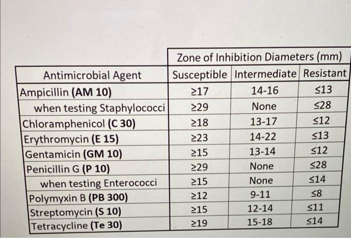 Exercise 14 Laboratory Report Effects Of Antibiotics Results Table 14 2 Antibiotic Susceptibility Modified Kirby Bauer 7