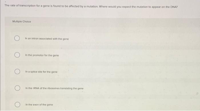 Which Of The Following Statements Best Describes Dna Polymerase Multiple Choice It Is An Enzyme Required To Produce A P 4