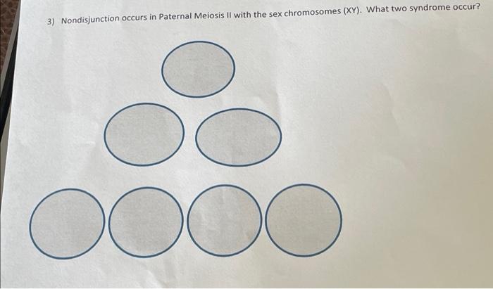 3 Nondisjunction Occurs In Paternal Meiosis Ii With The Sex Chromosomes Xy What Two Syndrome Occur Oooo 1