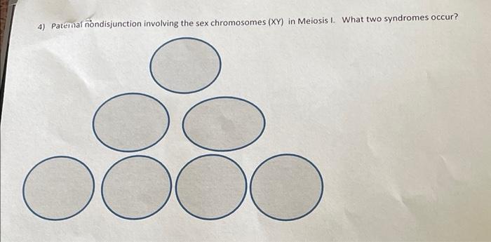 4 Patemal Nondisjunction Involving The Sex Chromosomes Xy In Meiosis I What Two Syndromes Occur 1