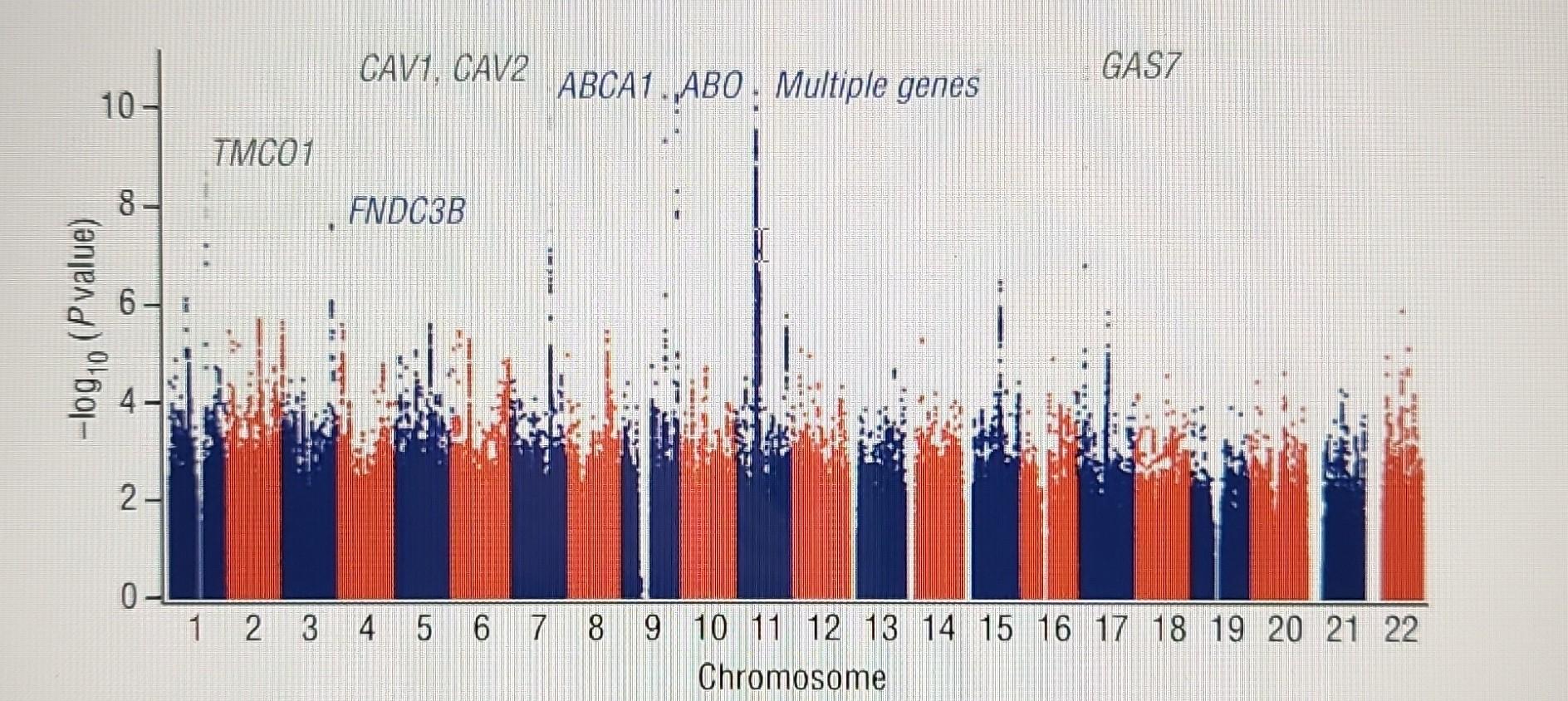 Cav1 Cav2 Gasz 10 Abca1 Abo Multiple Genes Tmc01 8 Od Fndc3b 6 Log10 P Value 22 0 1 2 3 4 5 6 7 7 8 9 10 11 12 13 1