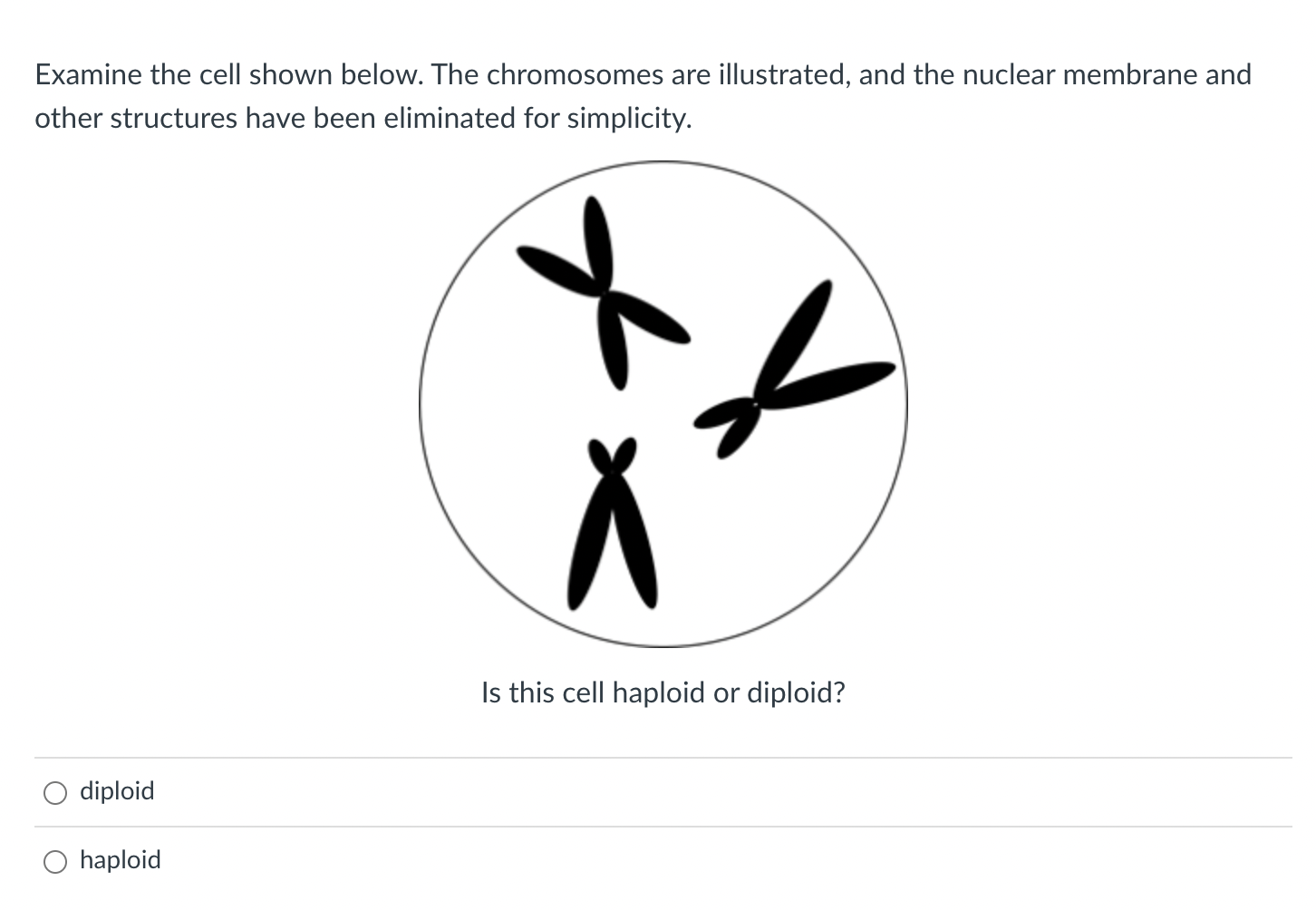 Examine The Cell Shown Below The Chromosomes Are Illustrated And The Nuclear Membrane And Other Structures Have Been E 1