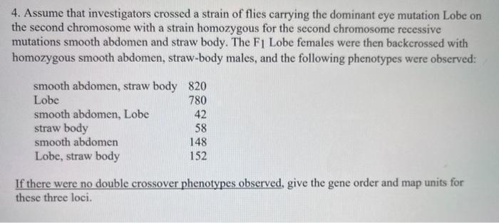 4 Assume That Investigators Crossed A Strain Of Flics Carrying The Dominant Eye Mutation Lobe On The Second Chromosome 1