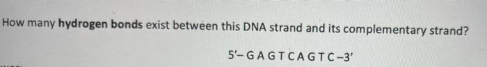 How Many Hydrogen Bonds Exist Between This Dna Strand And Its Complementary Strand 5 Ga Gtca Gtc 3 1