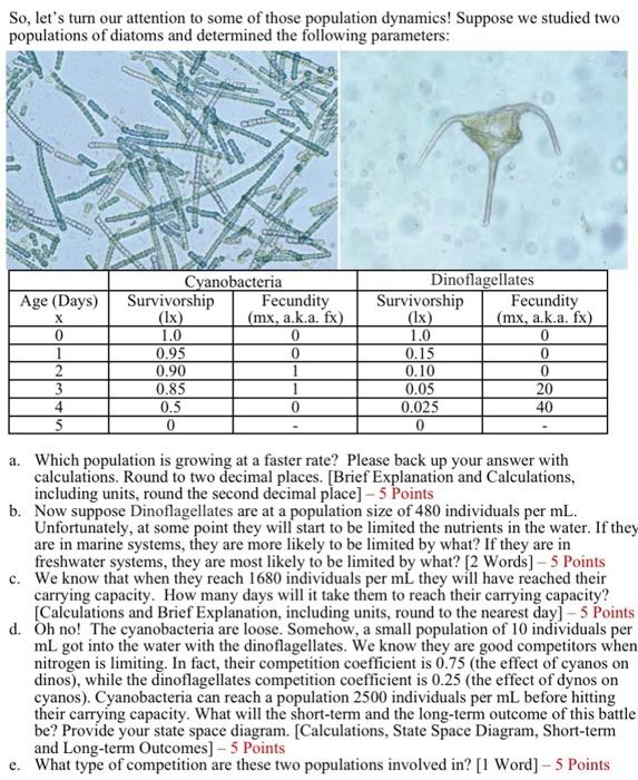 So Let S Turn Our Attention To Some Of Those Population Dynamics Suppose We Studied Two Populations Of Diatoms And Det 1