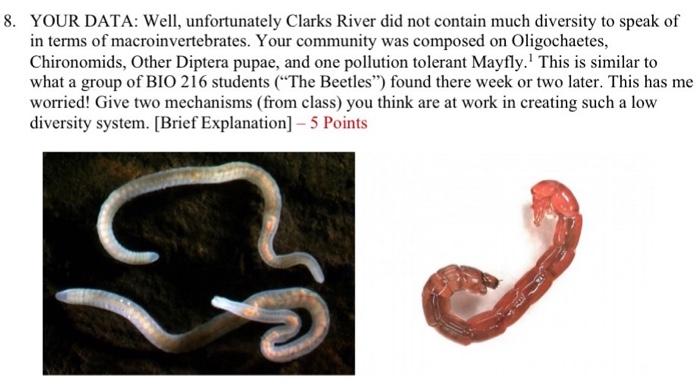 8 Your Data Well Unfortunately Clarks River Did Not Contain Much Diversity To Speak Of In Terms Of Macroinvertebrates 1