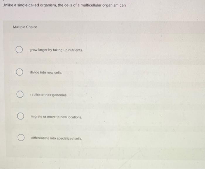 A Physician Discovered A Cancerous Tumor In The Cartilage Of A Patient What Type Of Tumor Is This Multiple Choice Myel 5