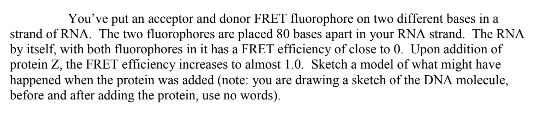 You Ve Put An Acceptor And Donor Fret Fluorophore On Two Different Bases In A Strand Of Rna The Two Fluorophores Are Pl 1